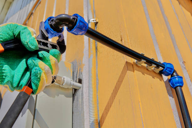 Best Best Plumbers Near Me  in Silver Grove, KY